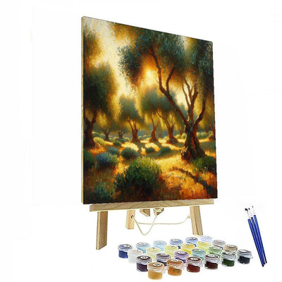 Sunlit Olive Grove Retreat Paint By Numbers