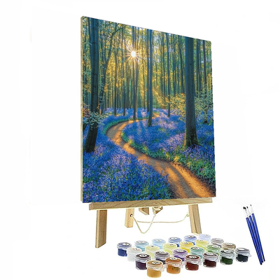 Hallerbos Forest Numbered Painting Kits