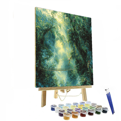 Monteverde Cloud Forest - Costa Rica Paint By Numbers Kits