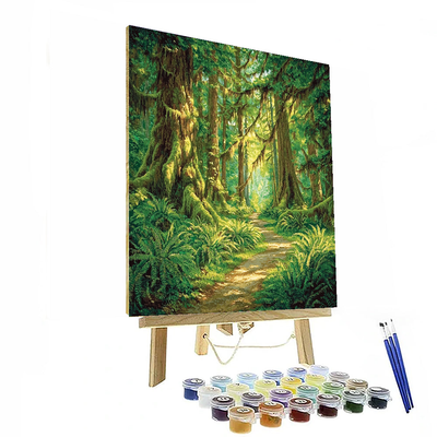 Hoh Rainforest - Olympic National Park Numbered Painting Kits