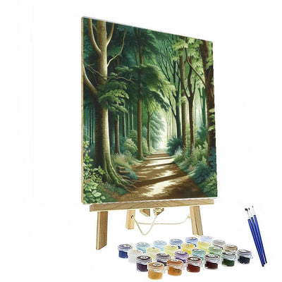 Secluded Woodland Pathway DIY Paint By Numbers