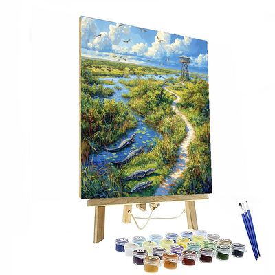 Shark Valley Paint By Numbers Kits