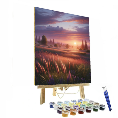 Sunset Over The Meadow Numbered Painting Kits