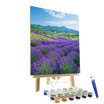 Hokkaido Lavender Fields Paint By Numbers