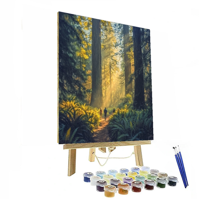 Redwood National And State Parks Painting By Numbers Kit