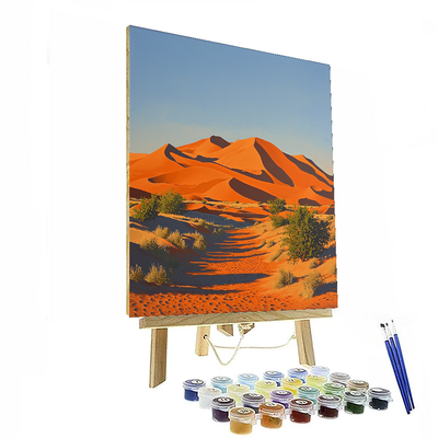 Sossusvlei Paint By Numbers