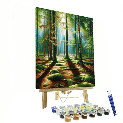 Tranquil Forest Escape Number Painting