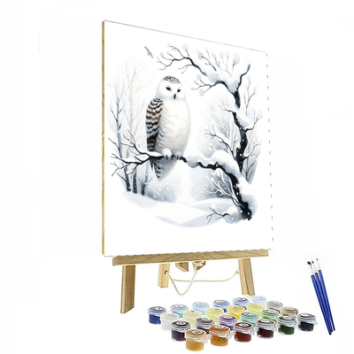 Snowy Owl Watch Paint By Numbers Kits