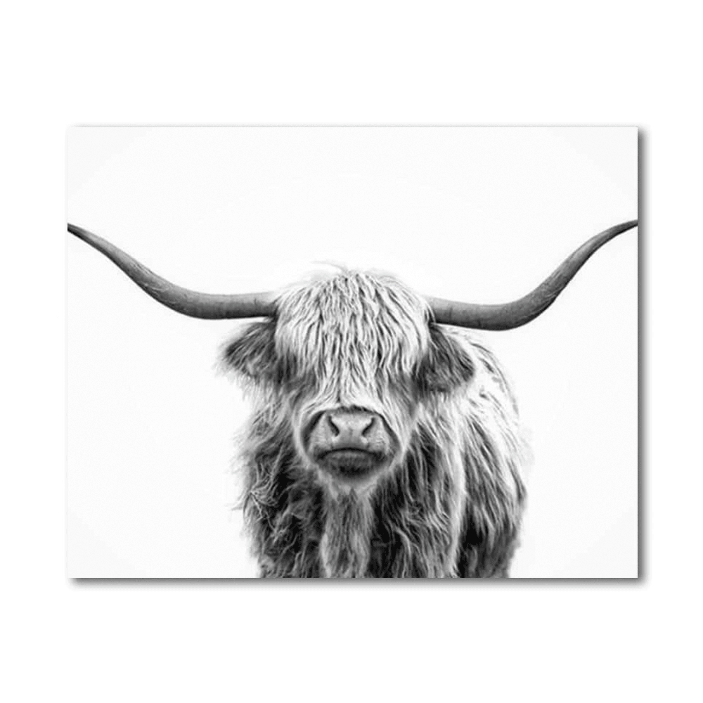 Highland Cow Paint By Numbers Painting Kit – Artistry Rack